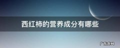 西红柿的营养成分有哪些 西红柿的成分和营养价值