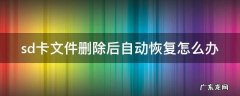 sd卡文件删除后自动恢复怎么办 sd卡文件删除后又自动恢复