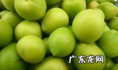 梅子是什么季节结果实 梅子在什么季节开花结果