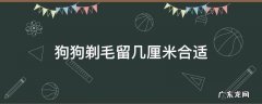 狗狗剃毛留几厘米合适 狗狗剃毛剃多短合适