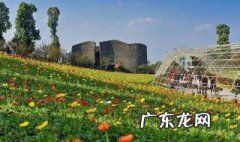 东北室外花园种什么花 东北室外花园种什么花好养