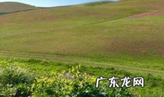 中国美国季节相反吗 中国是春天美国是什么季节
