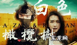 白色橄榄树讲了什么? 白色橄榄树讲了什么道理