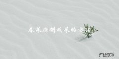 春菜腌制咸菜的方法