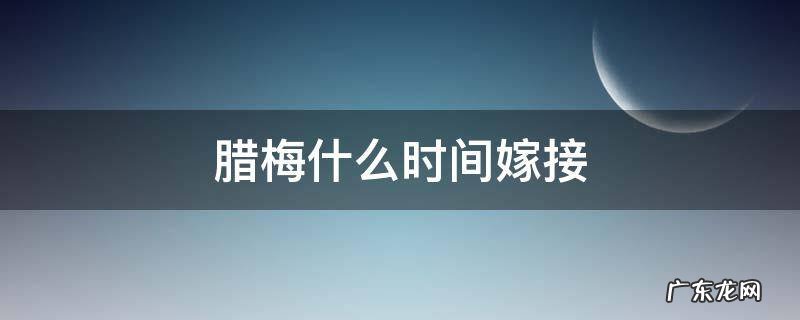 腊梅什么时间嫁接 腊梅5月份可嫁接吗