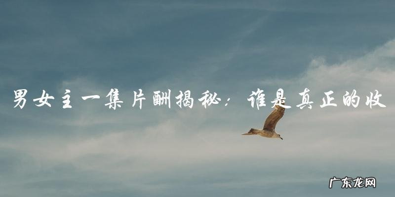 网剧男女主一集片酬:谁是真正的收入王?