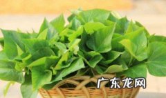 地瓜叶 苦 地瓜叶会苦是怎么回事
