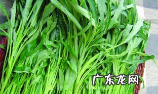 空心菜反季节可以吃吗 空心菜反季节可以吃吗图片