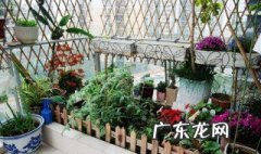 春季北露台种什么菜合适 春季北露台种什么菜