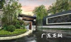 院子前后适合种什么树 院子前后适合种什么树风水