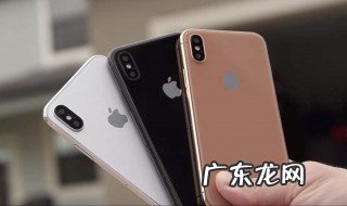 手机被进水了怎么办 手机被水浸入了怎么办