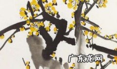 黄梅是什么季节开的 黄梅在哪个季节开花