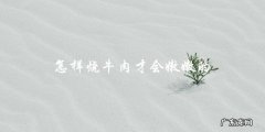 烹饪技巧如何烧出嫩嫩的牛肉？