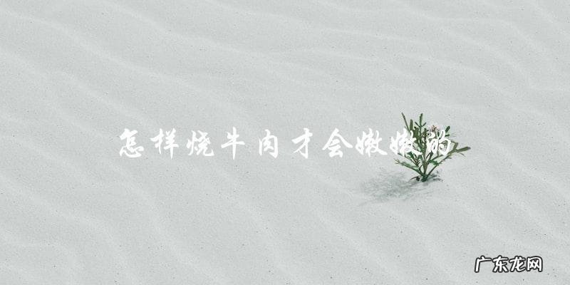 烹饪技巧如何烧出嫩嫩的牛肉?