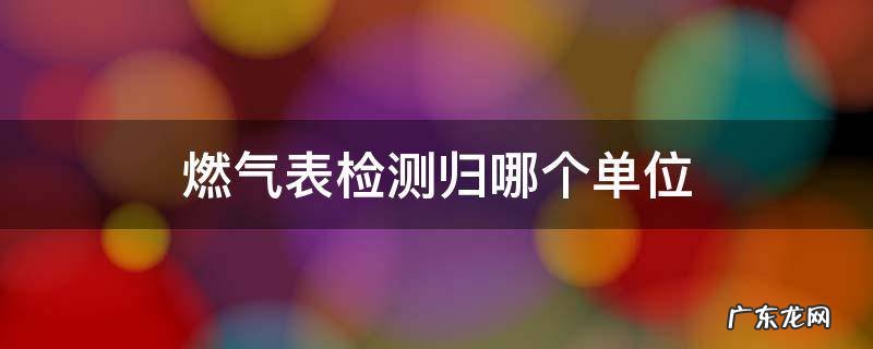 燃气表燃气公司拿去检测 燃气表检测归哪个单位