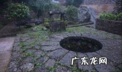井边种什么树风水好 井边能种什么树