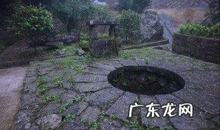 井边种什么树风水好 井边能种什么树