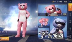 和平精英女生新手教程图片 和平精英女生新手教程