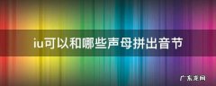 和iu拼的音节有哪些 iu可以和哪些声母拼出音节