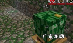 我的世界灵魂模组下载方法 我的世界灵魂模组怎么下?