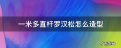 一米多直杆罗汉松怎么造型 一米高罗汉松怎样造型