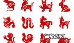 十二生肖排序表图 十二生肖排序