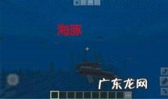 我的世界海豚的恩惠指令手机版 我的世界海豚的恩惠指令