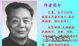 艾青绿表达了什么 艾青绿写了什么