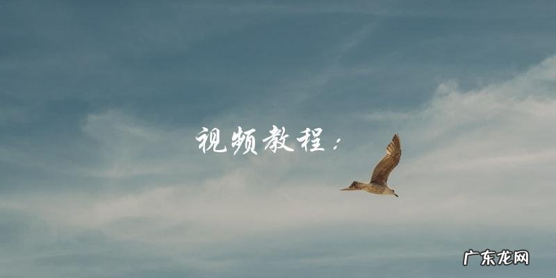 视频教程 学习简单家常做法,轻松烩出美味面条!