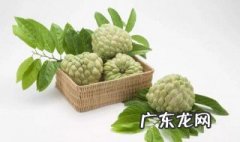 释迦果的功效与禁忌 释迦果的功效与禁忌孕妇
