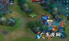 王者野王是什么意思? 王者野王是什么