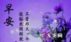 朋友之间珍惜彼此感情的句子 珍惜彼此感情的句子