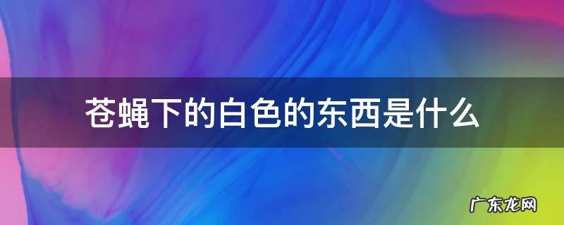 苍蝇下的白色的东西是什么样的 苍蝇下的白色的东西是什么
