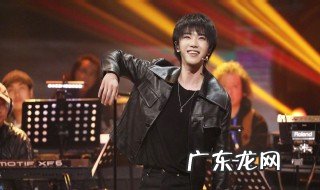华晨宇参加的歌手谁是冠军 华晨宇参加歌手几次冠军