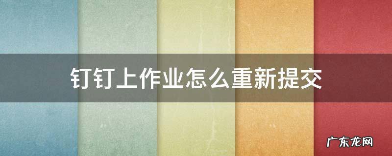 钉钉上怎么继续提交作业 钉钉上作业怎么重新提交