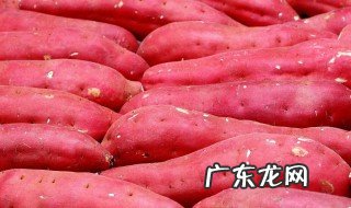 什么季节的红薯不能吃 什么季节的红薯不能吃了