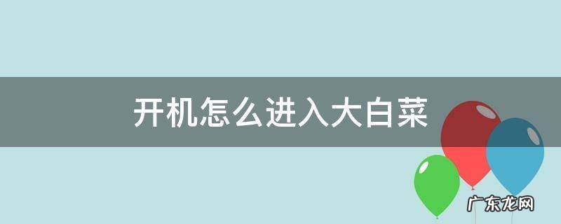 开机怎么进入大白菜u盘系统 开机怎么进入大白菜