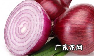 洋葱的养生功效有哪些作用 洋葱的养生功效有哪些