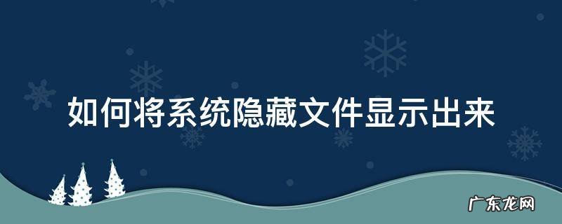 怎样显示系统隐藏的文件 如何将系统隐藏文件显示出来
