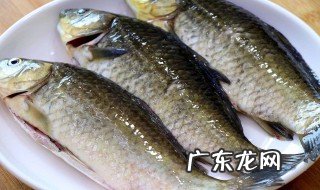 鲫鱼能养一个晚上吗 鲫鱼能养一个晚上吗视频