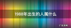 1988年出生的人属什么星座 1988年出生的人属什么