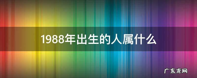 1988年出生的人属什么星座 1988年出生的人属什么