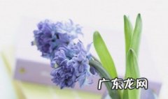 什么网名好听女生 什么网名好听