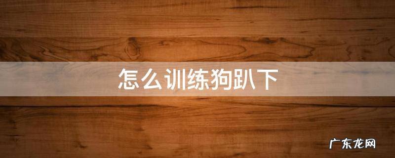 怎么训练狗趴下 怎么训练狗趴下坐下握手