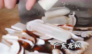 赤松茸长毛怎么回事 赤松茸长毛怎么回事啊
