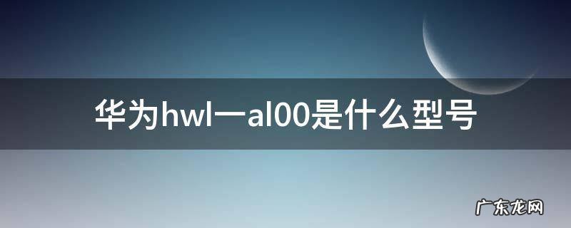 华为hw1-al00是什么型号 华为hwl一al00是什么型号