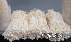 如何去根养殖金针菇 怎样养金针菇的根