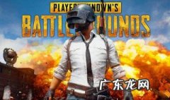 吃鸡快捷语言怎么换成中文 吃鸡快捷语言怎么换