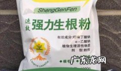 生根粉直接浇灌方法 生根粉浇根怎么配比