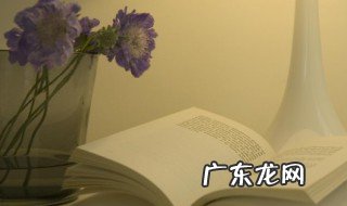 描写端午节的诗句 古诗 描写端午节的诗句